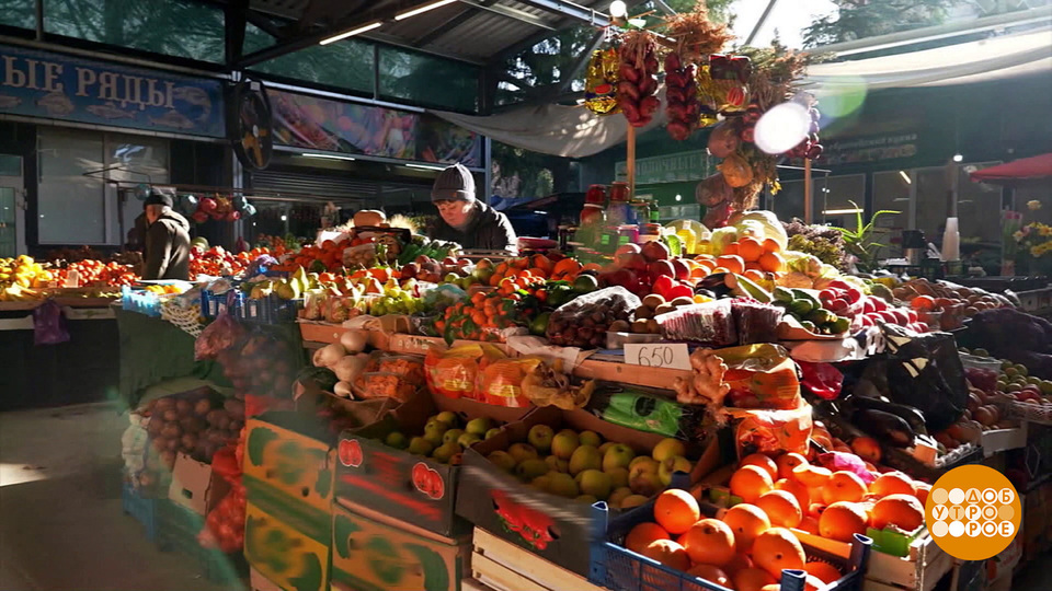 Что растет под крымским солнышком? Все растет! Доброе утро. Фрагмент выпуска от 16.03.2026