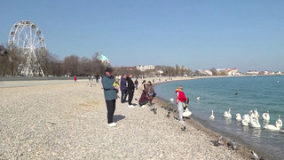 12 лет исполняется со дня исторического референдума в Крыму и Севастополе