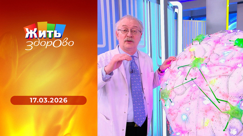 Камни в желчном пузыре; секреты рыбного супа; что такое спермограмма; легкие. Жить здорово! Выпуск от 17.03.2026
