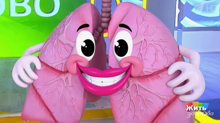 Наши легкие. Жить здорово! Фрагмент 