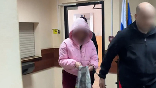 Задержана пытавшаяся убить москвичку «изобличительница иноагентов»