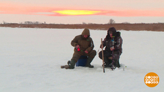 Лед тронулся! Не выходите на него! Доброе утро. Фрагмент 