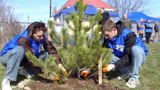 В день воссоединения с Россией в Крыму стартовала патриотическая акция «Сад памяти»
