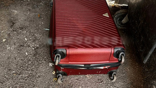 В Красногорске обнаружили два чемодана с расчлененным телом женщины