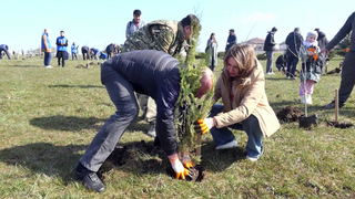 В Крыму и Севастополе сегодня дали старт масштабной акции «Сад памяти»