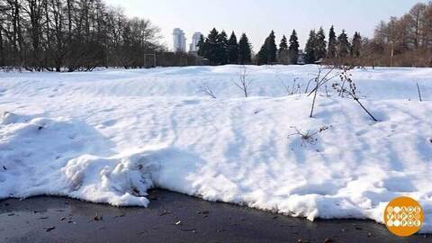Снежная физика: в чем соль? Доброе утро. Фрагмент 