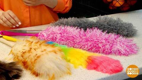 Метелочка против пыли: кто кого? Доброе утро. Фрагмент