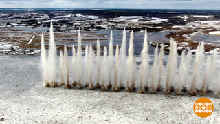 Готовимся к паводку. А рыбу предупредили? Доброе утро. Фрагмент 