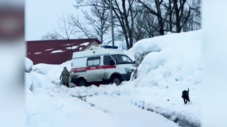 Синоптики прогнозируют майское тепло в столичном регионе на следующей неделе