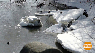 Снег тает... А что с питьевой водой? Доброе утро. Фрагмент 