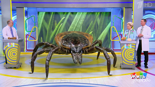 Клещи. Жить здорово! Фрагменты 