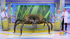 Клещи. Жить здорово! Фрагменты 