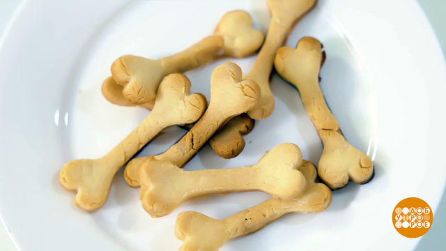 Собака, угощайся! Доброе утро. Фрагмент 