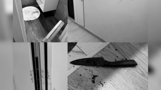 Появились кадры с места покушения на убийство девушки на севере Москвы