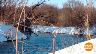 Половодье близко! Пора готовиться! Доброе утро. Фрагмент