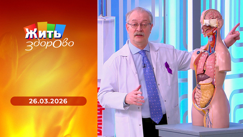 Рак — не приговор; тест-экспертиза йогуртниц; эпилепсия; что происходит в ваших глазах. Жить здорово! 
