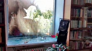 Здание Русского дома в Праге забросали «коктейлями Молотова»