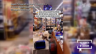 Видео недели: всадник «без головы»; экстремальный полет; собака на скейтборде. Человек и закон. Фрагмент 