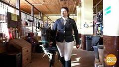 Просто я работаю... кучером! Доброе утро. Суббота. Фрагмент