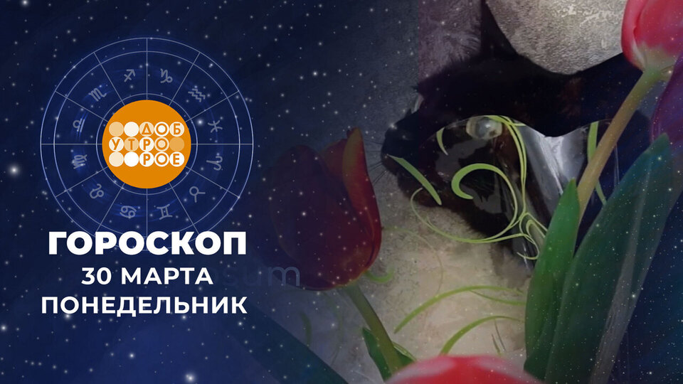 Гороскоп на 30 марта. Доброе утро. Фрагмент выпуска от 30.03.2026