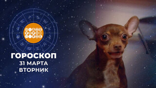 Гороскоп на 31 марта для всех знаков зодиака