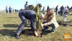 «Сады памяти». Никто не забыт! Доброе утро. Фрагмент 