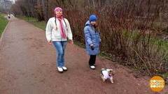 Собака, одевайся, пойдем гулять! Доброе утро. Фрагмент 