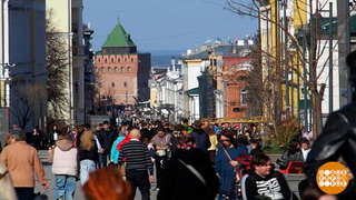 Апрель, будь солнечным, как март! Доброе утро. Фрагмент 