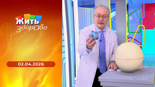 Полезность прогулки в лесу; драники; боли в спине; лимфатическая система без лекарств. Жить здорово! 