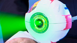 В «Жить здорово!» назвали три причины для ежедневной прогулки по зеленому лесу