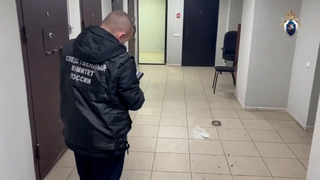 СК показал кадры нападения подсудимого на полицейских в суде Долгопрудного