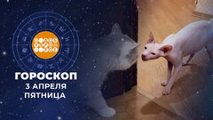 Гороскоп на 3 апреля. Доброе утро. Фрагмент