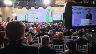 Крупные инвестиционные проекты обсуждают на Международном экономическом форуме в Сухуме