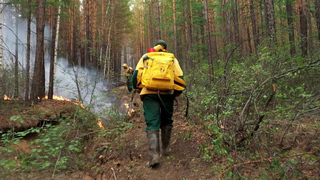 Группу парашютистов Авиалесоохраны направили в ЕАО для тушения масштабного лесного пожара