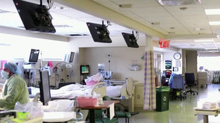 Эвтаназия в Канаде унесла больше жизней, чем Вторая мировая война