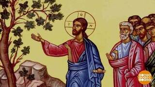 Страстная неделя. Каждый день — особенный! Доброе утро. Фрагмент 