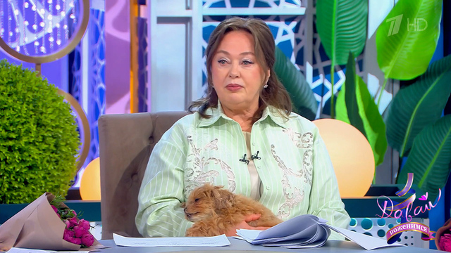 «Мне так жалко мужчин!» Лариса Гузеева посочувствовала сильному полу. Давай поженимся! Фрагмент