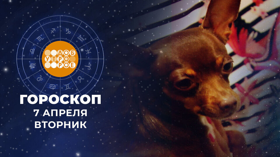 Гороскоп на 7 апреля. Доброе утро. Фрагмент выпуска от 07.04.2026