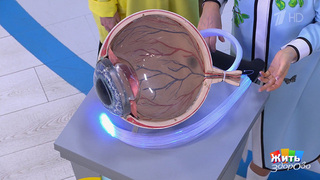 Врач смотрит в глаз — и видит проблему раньше других. Жить здорово! Фрагмент 