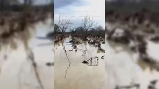 Куренков: в Дагестане ввели режим ЧС регионального характера