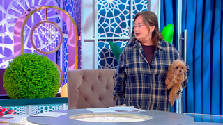 «Устала как собака» — Лариса Гузеева пожаловалась на то, что Жужа не хотела сниматься в «Давай поженимся!»