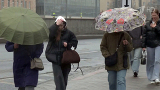 Циклон из Арктики принес в Москву резкое похолодание, снег, а в перспективе и гололед
