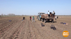 Зернышко к зернышку: посевная началась! Доброе утро. Фрагмент 