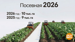 Зернышко к зернышку: посевная началась! Доброе утро. Фрагмент 