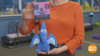 Собачьи игрушки: чтобы питомец не скучал. Доброе утро. Фрагмент 