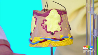 Лечение прыщей: то, что действительно работает. Жить здорово! Фрагмент 