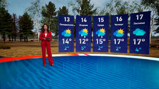 Настоящая весна: синоптики обещают потепление к выходным в Москве