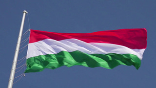 В Венгрии подводят итоги выборов в парламент