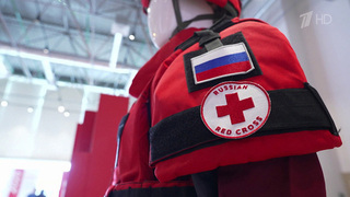 Более 8,5 млн человек получили помощь от Российского Красного Креста