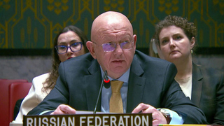 В Европе готовятся к большой войне против России, заявил Василий Небензя